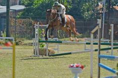 Foto de la galería: Torneo de Equitación: los saltos hípicos animaron otro domingo de salida familiar en Posadas