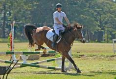 Foto de la galería: Torneo de Equitación: los saltos hípicos animaron otro domingo de salida familiar en Posadas