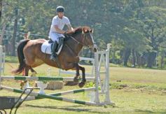 Foto de la galería: Torneo de Equitación: los saltos hípicos animaron otro domingo de salida familiar en Posadas