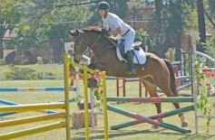 Foto de la galería: Torneo de Equitación: los saltos hípicos animaron otro domingo de salida familiar en Posadas