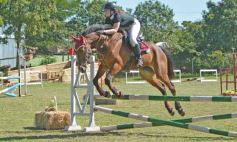 Foto de la galería: Torneo de Equitación: los saltos hípicos animaron otro domingo de salida familiar en Posadas