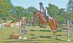 Foto de la galería: Torneo de Equitación: los saltos hípicos animaron otro domingo de salida familiar en Posadas
