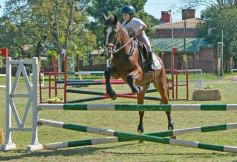 Foto de la galería: Torneo de Equitación: los saltos hípicos animaron otro domingo de salida familiar en Posadas