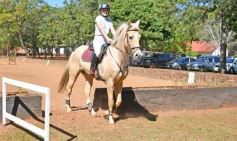 Foto de la galería: Torneo de Equitación: los saltos hípicos animaron otro domingo de salida familiar en Posadas
