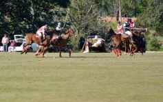 Foto de la galería: Equitación en Posadas: el Polo también sumó al disfrute a pleno