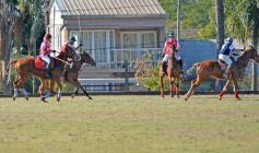 Foto de la galería: Equitación en Posadas: el Polo también sumó al disfrute a pleno