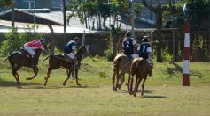 Foto de la galería: Equitación en Posadas: el Polo también sumó al disfrute a pleno
