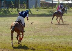 Foto de la galería: Equitación en Posadas: el Polo también sumó al disfrute a pleno