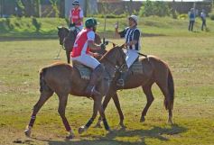 Foto de la galería: Equitación en Posadas: el Polo también sumó al disfrute a pleno