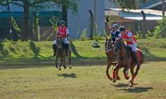 Foto de la galería: Equitación en Posadas: el Polo también sumó al disfrute a pleno