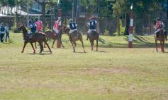 Foto de la galería: Equitación en Posadas: el Polo también sumó al disfrute a pleno
