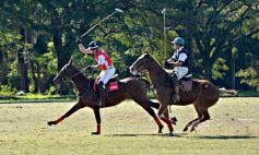 Foto de la galería: Equitación en Posadas: el Polo también sumó al disfrute a pleno