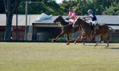 Foto de la galería: Equitación en Posadas: el Polo también sumó al disfrute a pleno