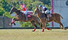 Foto de la galería: Equitación en Posadas: el Polo también sumó al disfrute a pleno