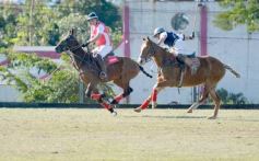 Foto de la galería: Equitación en Posadas: el Polo también sumó al disfrute a pleno