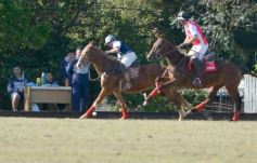 Foto de la galería: Equitación en Posadas: el Polo también sumó al disfrute a pleno