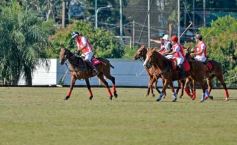 Foto de la galería: Equitación en Posadas: el Polo también sumó al disfrute a pleno
