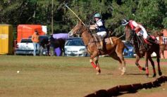 Foto de la galería: Equitación en Posadas: el Polo también sumó al disfrute a pleno