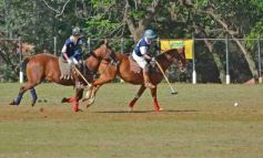 Foto de la galería: Equitación en Posadas: el Polo también sumó al disfrute a pleno