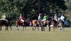 Foto de la galería: Equitación en Posadas: el Polo también sumó al disfrute a pleno