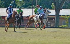 Foto de la galería: Equitación en Posadas: el Polo también sumó al disfrute a pleno