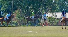 Foto de la galería: Equitación en Posadas: el Polo también sumó al disfrute a pleno