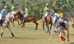 Foto de la galería: Equitación en Posadas: el Polo también sumó al disfrute a pleno