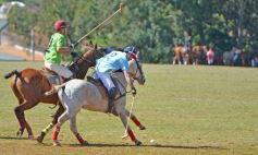 Foto de la galería: Equitación en Posadas: el Polo también sumó al disfrute a pleno