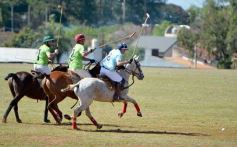 Foto de la galería: Equitación en Posadas: el Polo también sumó al disfrute a pleno