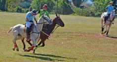 Foto de la galería: Equitación en Posadas: el Polo también sumó al disfrute a pleno