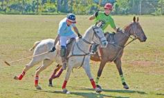 Foto de la galería: Equitación en Posadas: el Polo también sumó al disfrute a pleno