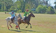Foto de la galería: Equitación en Posadas: el Polo también sumó al disfrute a pleno