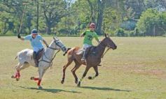 Foto de la galería: Equitación en Posadas: el Polo también sumó al disfrute a pleno