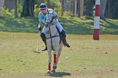 Foto de la galería: Equitación en Posadas: el Polo también sumó al disfrute a pleno