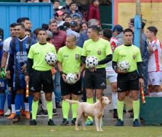 Foto de la galería: Torneo Provincial: la finalísima se define en Villa Sarita