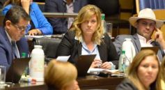 Foto de la galería: Diputados dieron marco legislativo a los deportes electrónicos y videojuegos