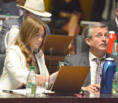 Foto de la galería: Diputados dieron marco legislativo a los deportes electrónicos y videojuegos