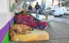 Foto de la galería: Posadas a full: mucho ir y venir en la ciudad que también sumó la buena onda de los amigos