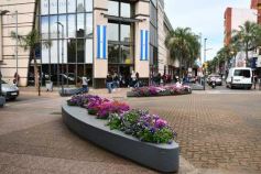 Foto de la galería: Ciudad que no para: mucha gente amiga entre el trabajo y las salidas en Posadas