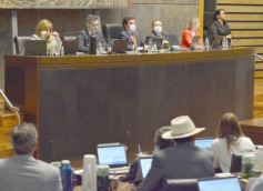 Foto de la galería: Por ley, el cáncer infantil tendrá tratamiento gratuito en Misiones