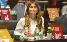 Foto de la galería: Por ley, el cáncer infantil tendrá tratamiento gratuito en Misiones