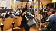 Foto de la galería: Sesión de Diputados: Misiones fortalecerá la producción de alimentos en las comunidades guaranies