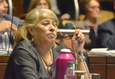 Foto de la galería: Sesión de Diputados: Misiones fortalecerá la producción de alimentos en las comunidades guaranies