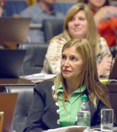 Foto de la galería: Sesión de Diputados: Misiones fortalecerá la producción de alimentos en las comunidades guaranies