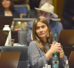 Foto de la galería: Sesión de Diputados: Misiones fortalecerá la producción de alimentos en las comunidades guaranies