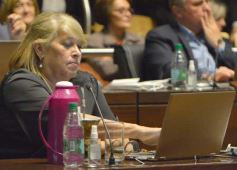 Foto de la galería: Sesión de Diputados: Misiones fortalecerá la producción de alimentos en las comunidades guaranies