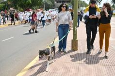 Foto de la galería: Estudiantina 2022: la fiesta fue de los estudiantes en la primera prueba piloto