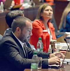 Foto de la galería: Legislatura: la lengua de señas será obligatoria en el sistema educativo misionero