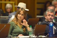 Foto de la galería: Legislatura: la lengua de señas será obligatoria en el sistema educativo misionero