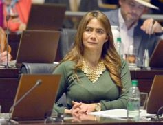 Foto de la galería: Legislatura: la lengua de señas será obligatoria en el sistema educativo misionero